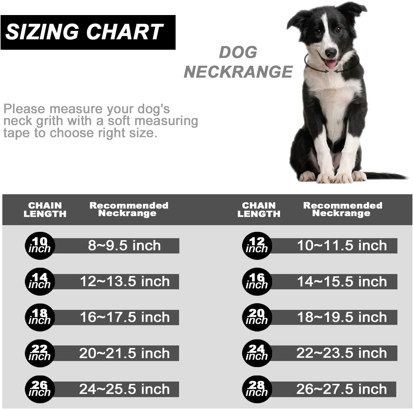 Black Dog Chain Collar Walking Metal Chain Collar with Design Secure Buckle Cuban Link Strong Heavy Duty Chew Proof for Small Dogs(19Mm, 12")